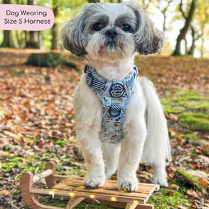 Disney© Tough Trails™ Harness - Santas Mickey Mail