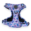 Tough Trails™ Harness - Tiny Diny