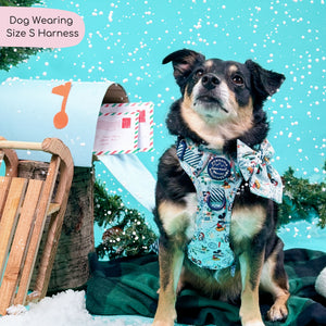 Disney© Tough Trails™ Harness - Santas Mickey Mail