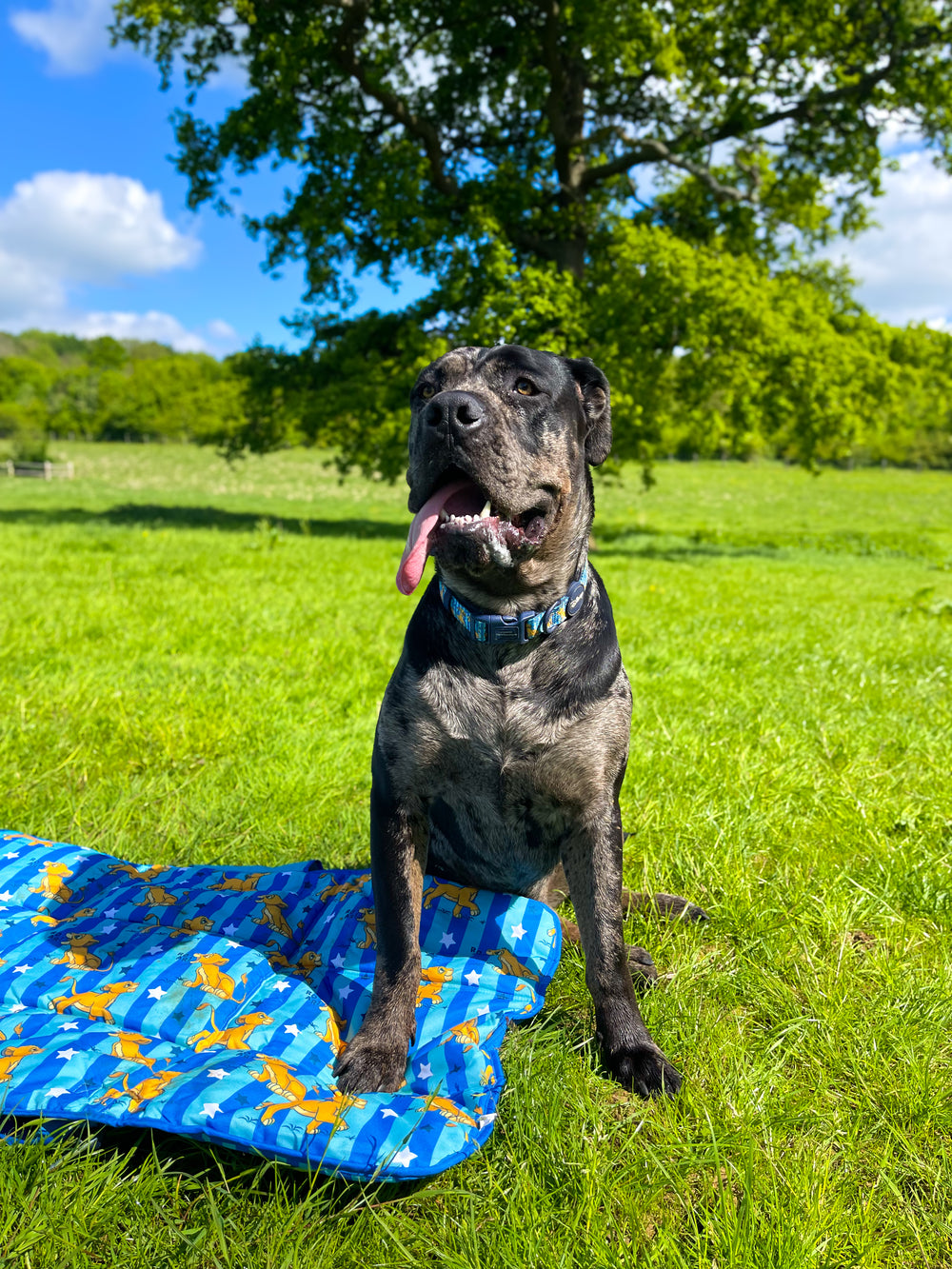 Disney© Travel Mat - Simba