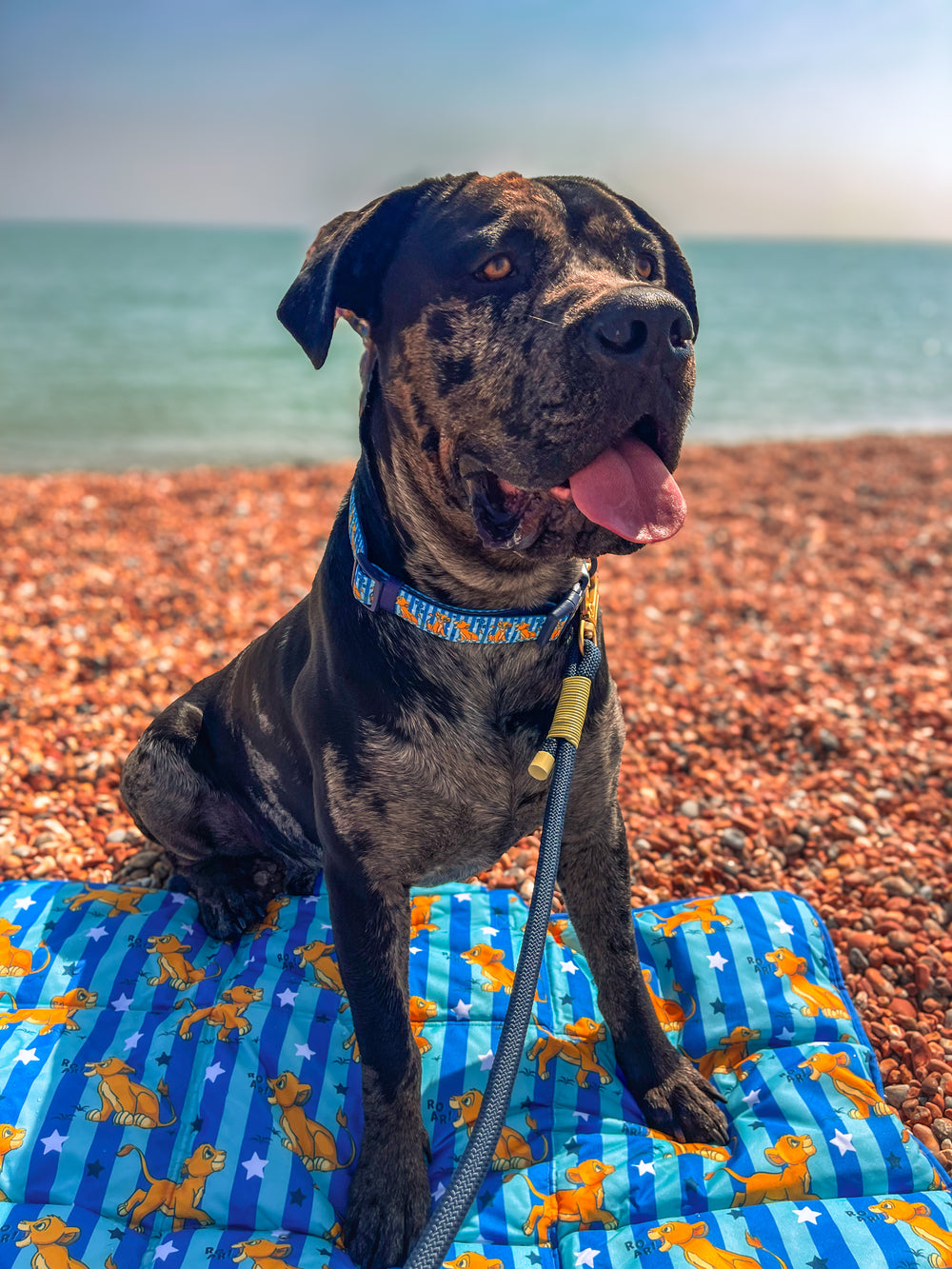 Disney© Travel Mat - Simba