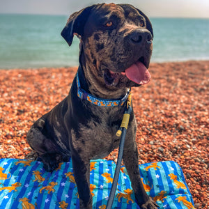 Disney© Travel Mat - Simba