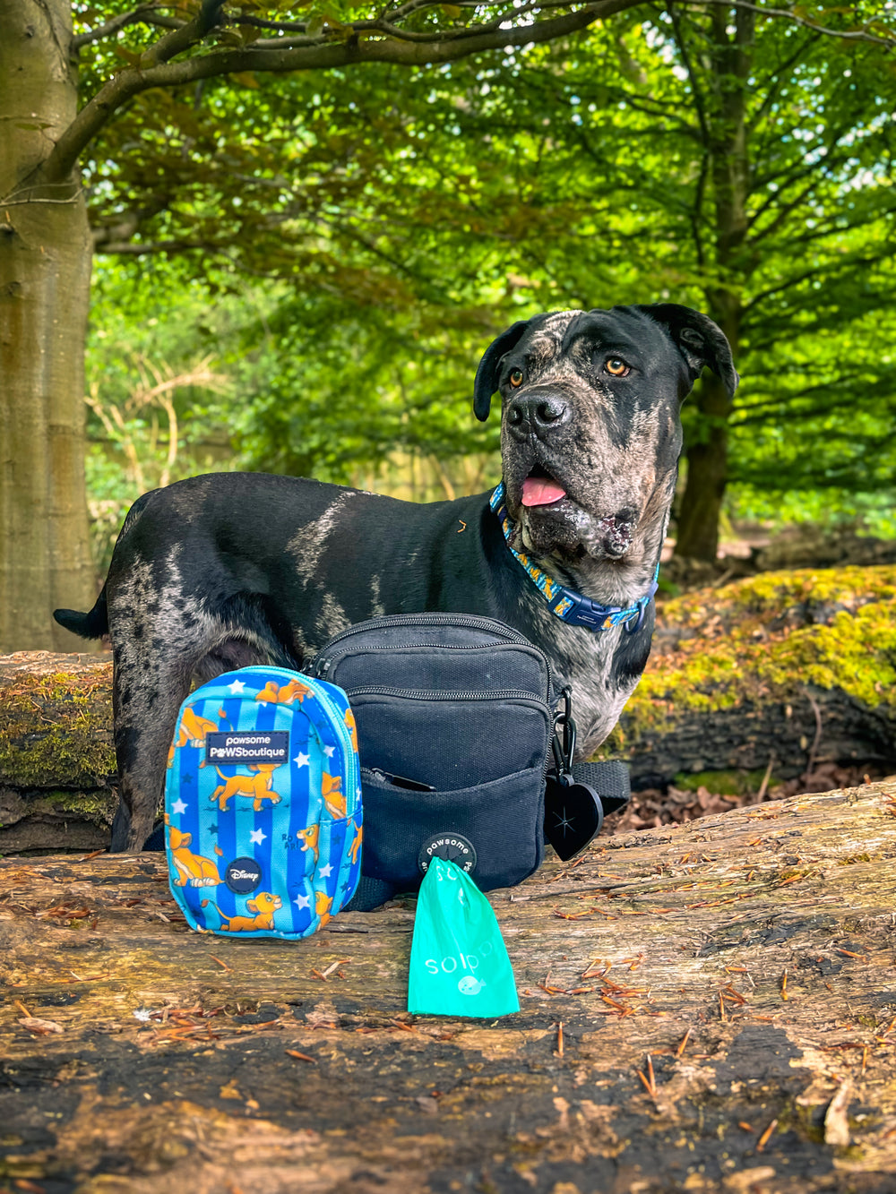 Disney© Treat + Go Bag - Simba