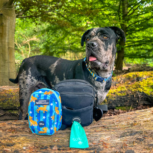 Disney© Treat + Go Bag - Simba