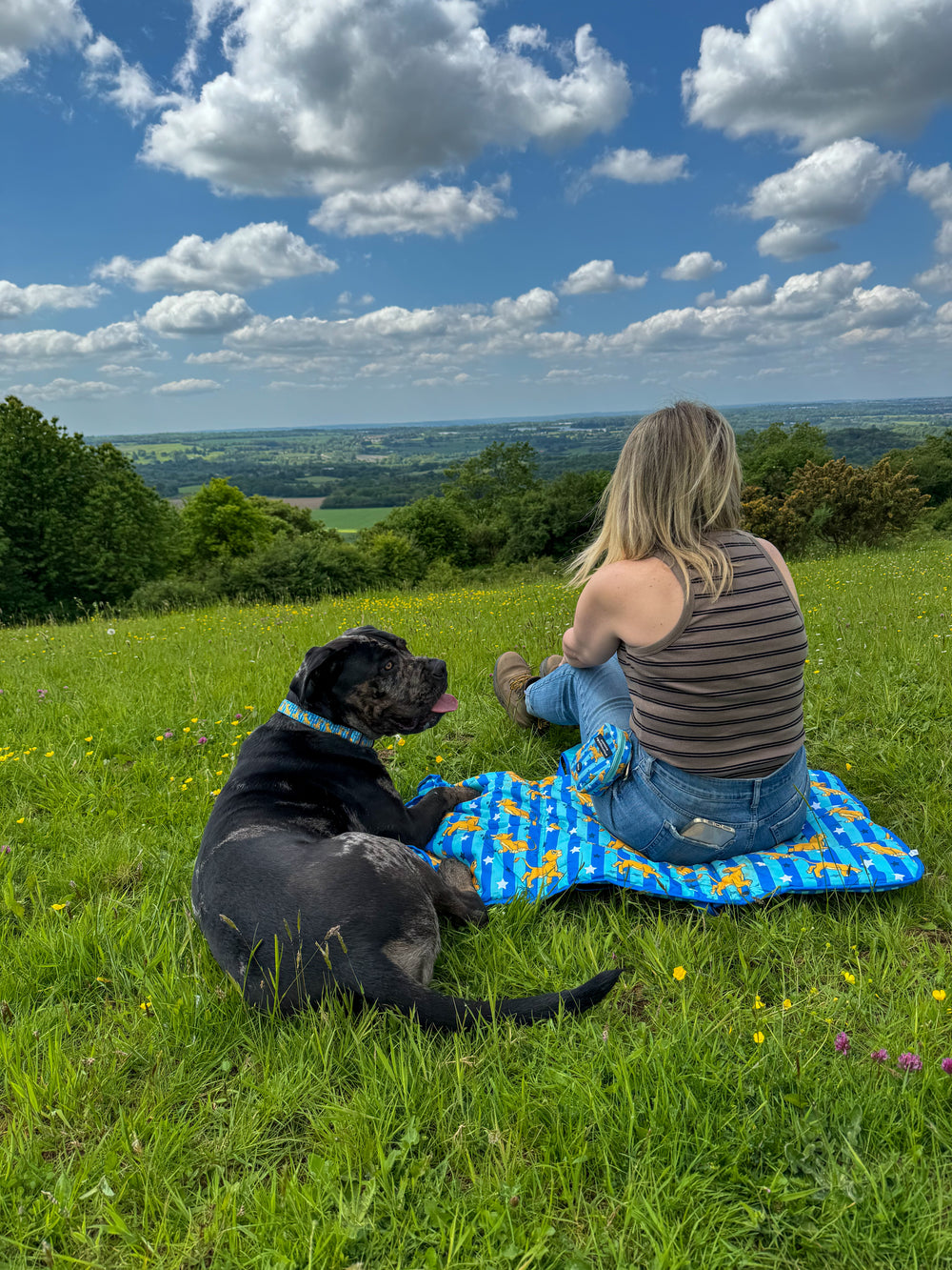 Disney© Travel Mat - Simba