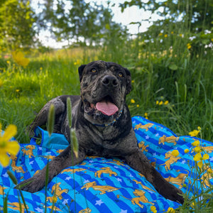 Disney© Travel Mat - Simba