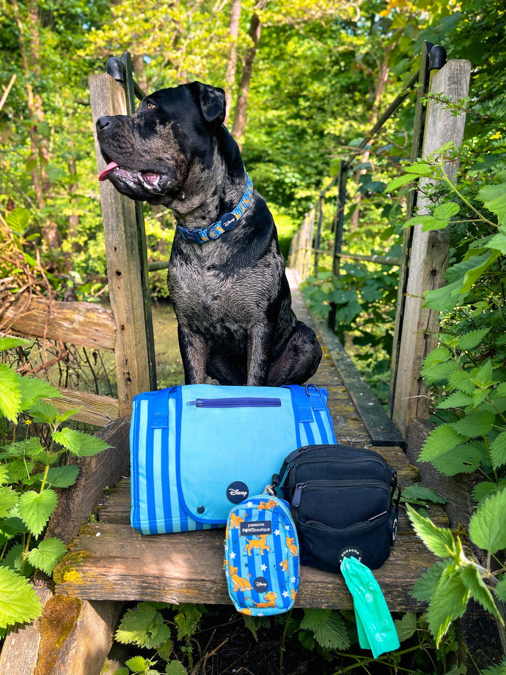 Disney© Travel Mat - Simba