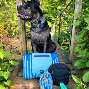 Disney© Travel Mat - Simba