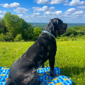 Disney© Travel Mat - Simba