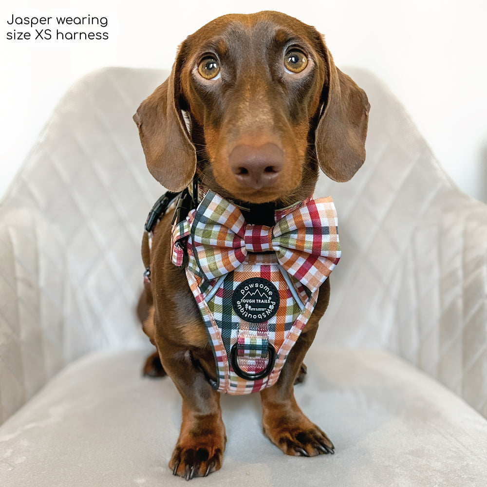 Bow Tie - Plaid Pup