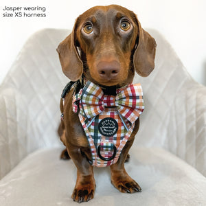Bow Tie - Plaid Pup
