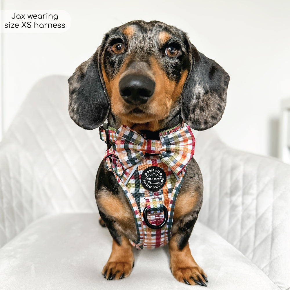 Bow Tie - Plaid Pup