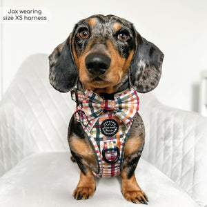 Bow Tie - Plaid Pup