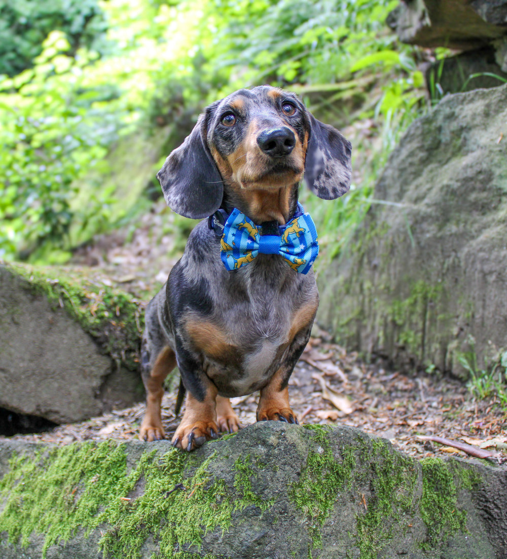 Disney© Bow Tie - Simba