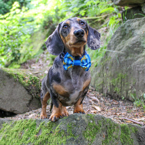 Disney© Bow Tie - Simba