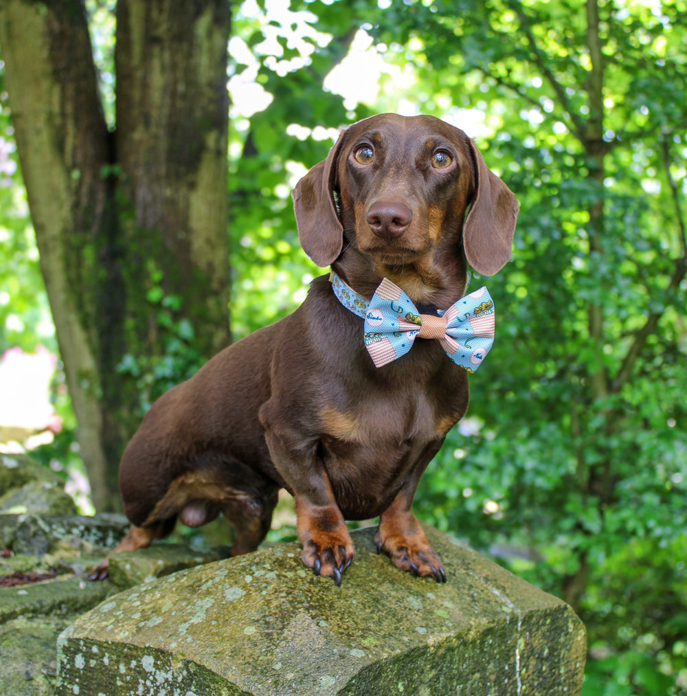 Disney© Bow Tie - Lion Friends