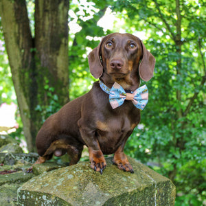 Disney© Bow Tie - Lion Friends