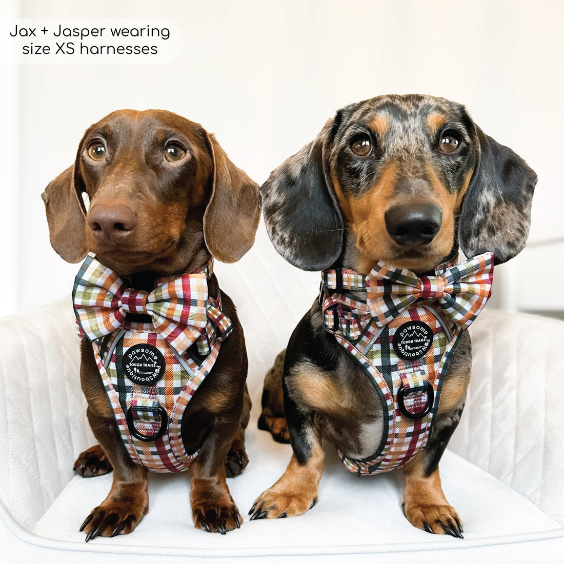 Bow Tie - Plaid Pup