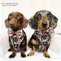 Bow Tie - Plaid Pup
