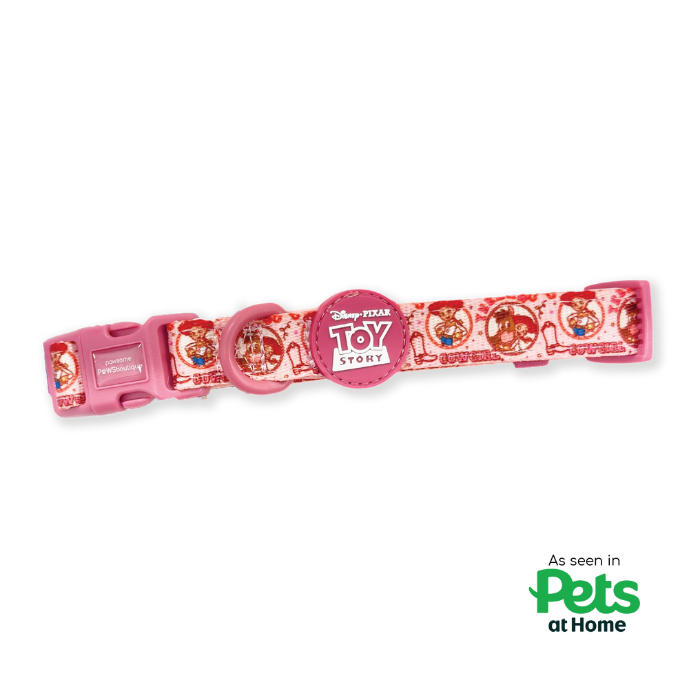 Disney© Collar - Jessie