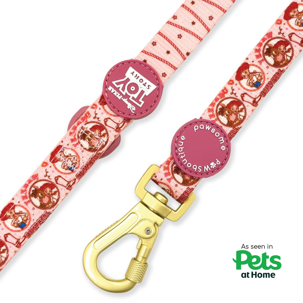 Disney© Lead - Jessie