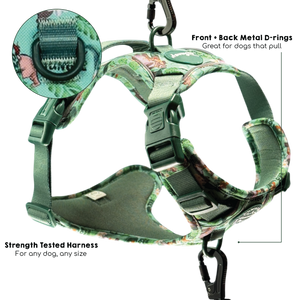 Disney© Tough Trails™ Harness - Jungle Book
