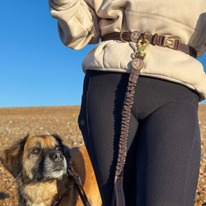 Handsfree Lead - Walkies Ready® Chocolate Brown