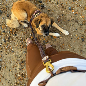 Handsfree Lead - Walkies Ready® Chocolate Brown