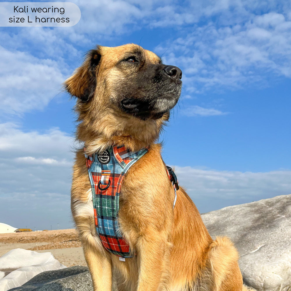Tough Trails™ Harness - Harvest Plaid