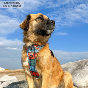 Tough Trails™ Harness - Harvest Plaid