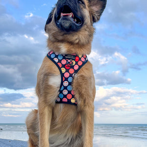 Adjustable Harness – Be Happy - Charity Collection