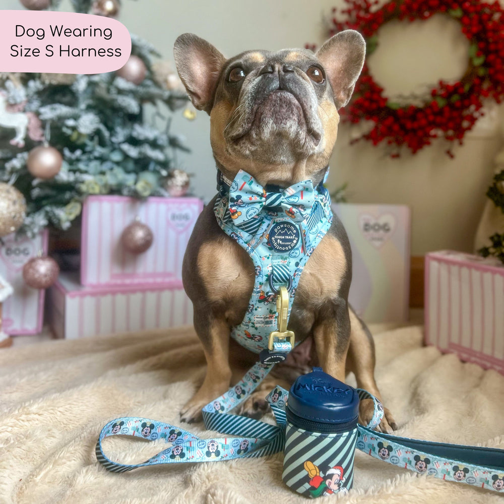Disney© Tough Trails™ Harness - Santas Mickey Mail