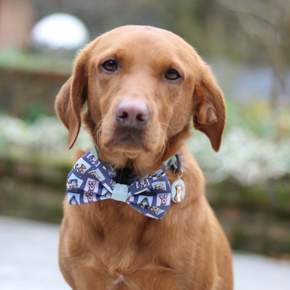 Disney© Bow Tie - Winnie + Friends