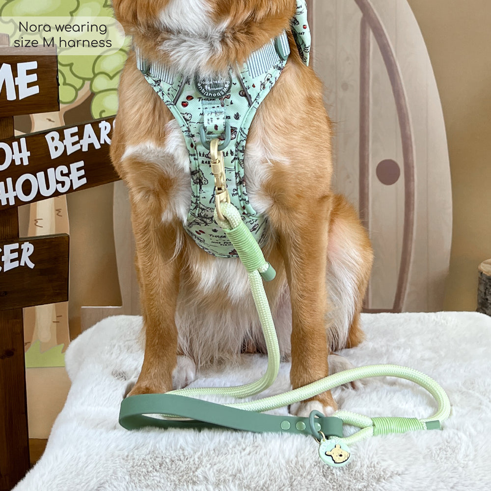 Disney© 4ft Rope Lead - 100 Aker Wood - Light and Dark Green