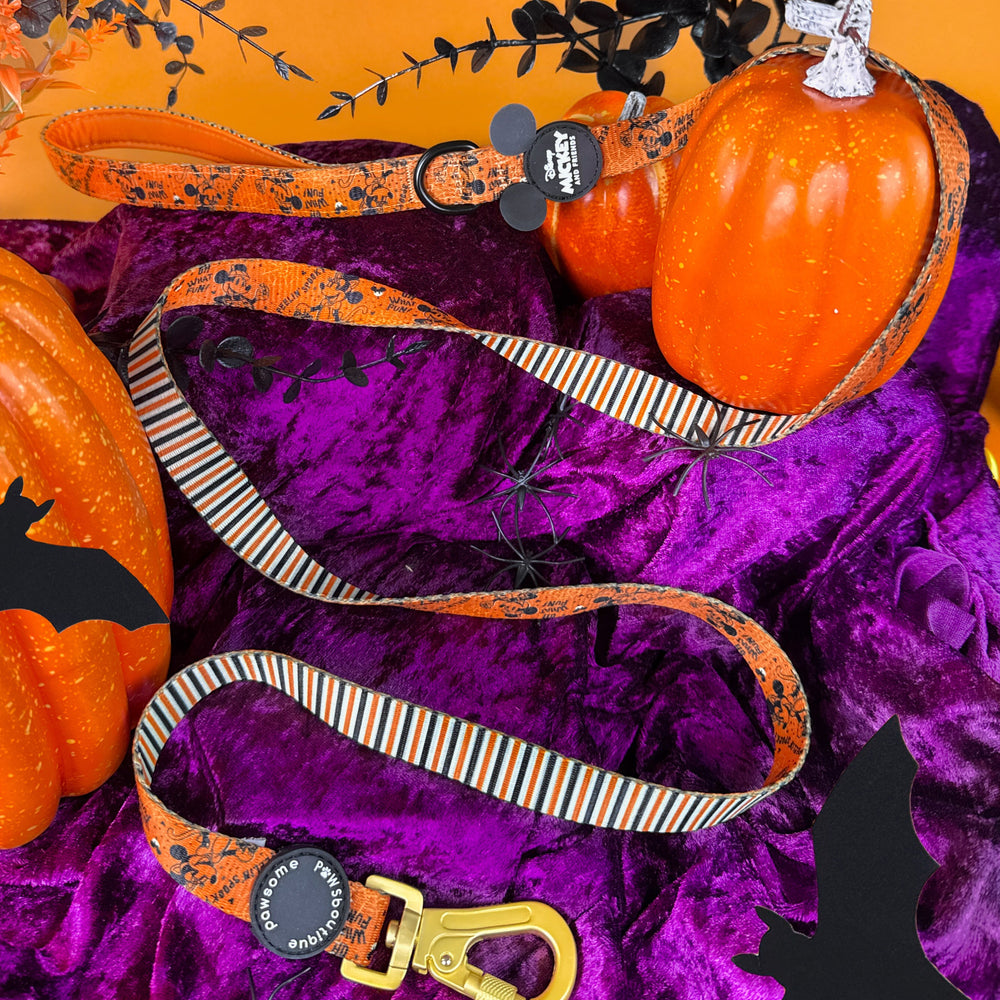 Disney© Lead - Halloween