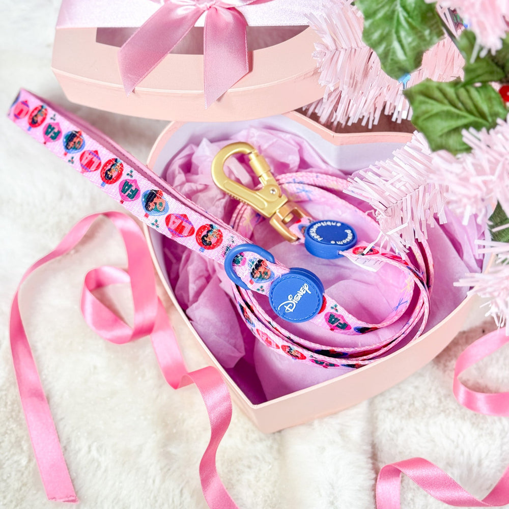 Disney© Lead - Princess