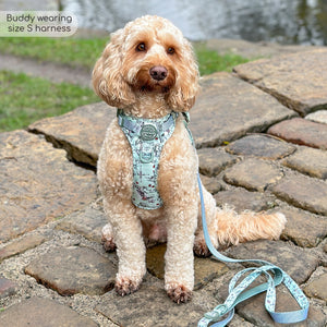 Disney© Tough Trails™ Harness - 100 Aker Wood