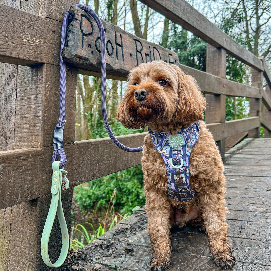 Disney© 4ft Rope Lead - Winnie + Friends - Sage and Blue