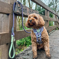 Disney© 4ft Rope Lead - Winnie + Friends - Sage and Blue