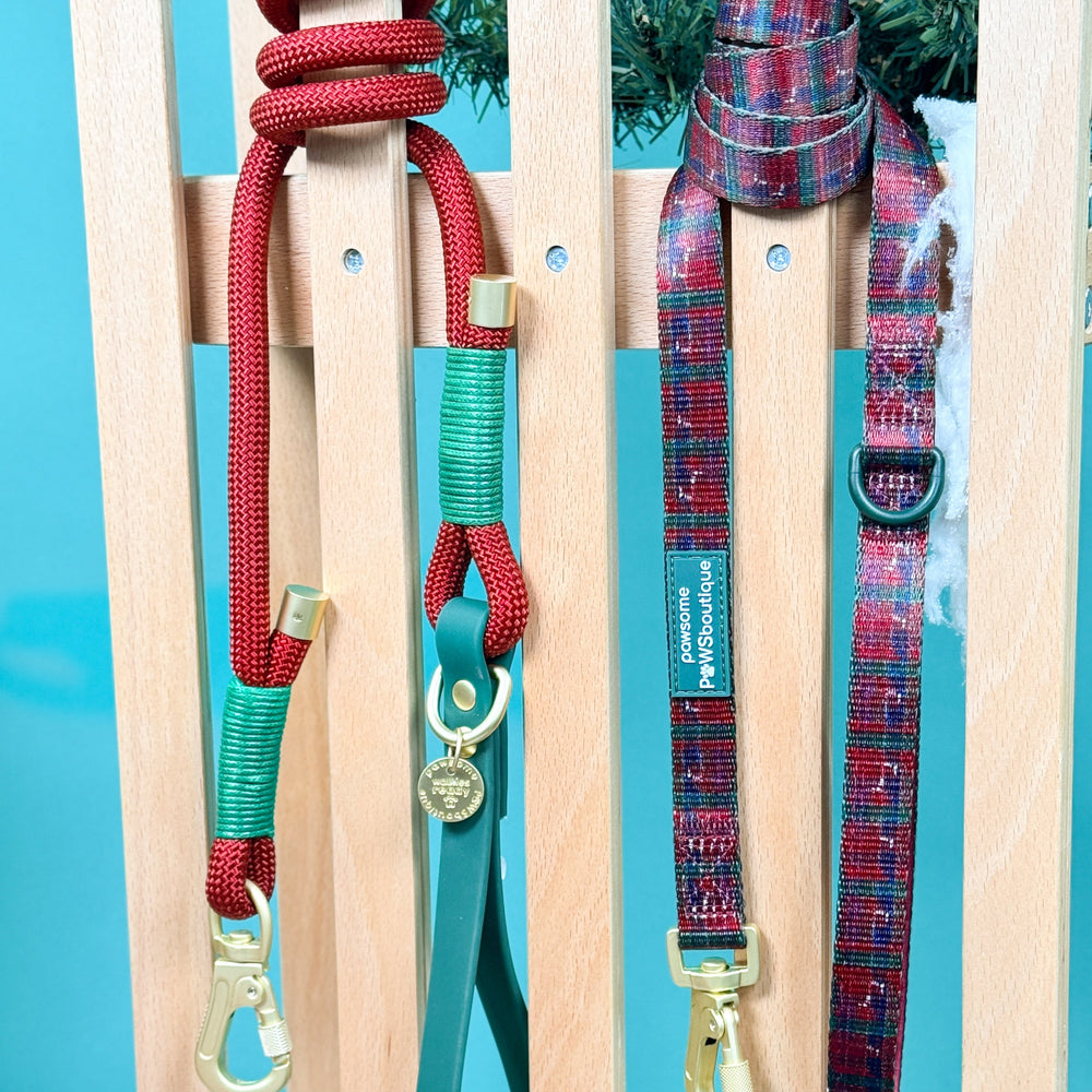 4ft Rope Lead - Red + Green
