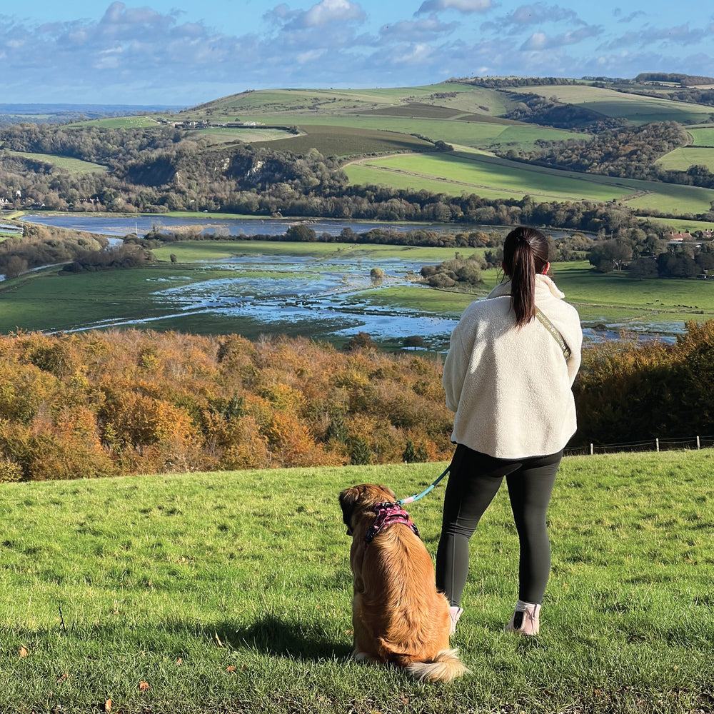 Walkies Ready® Leggings - Black