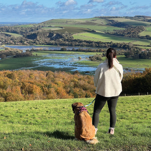 Walkies Ready® Leggings - Black
