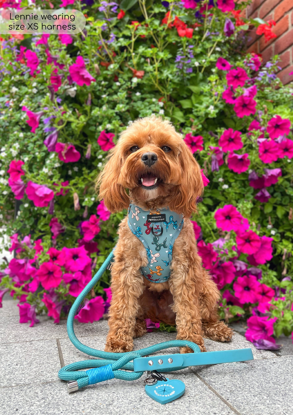 4ft Rope Lead - Teal