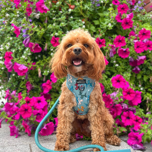 4ft Rope Lead - Teal