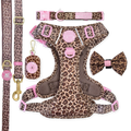 Leopard Print Ultimate Bundle