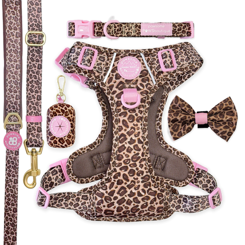 Leopard Print Ultimate Bundle