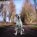 Disney© Tough Trails™ Harness - 100 Aker Wood