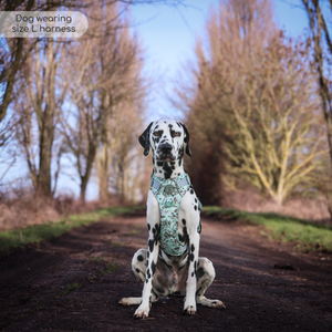 Disney© Tough Trails™ Harness - 100 Aker Wood