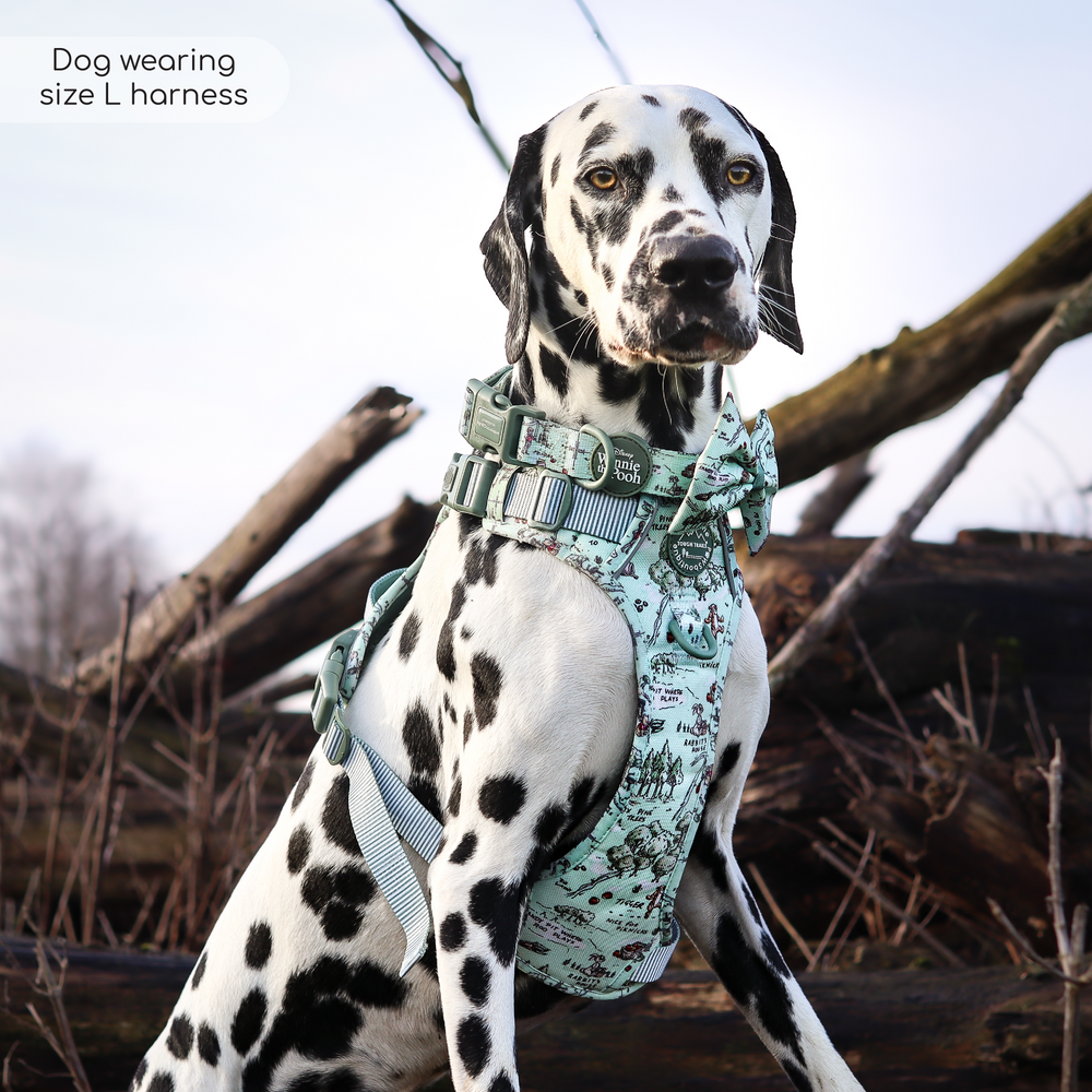 Disney© Tough Trails™ Harness - 100 Aker Wood