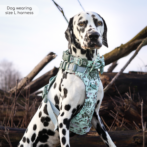 Disney© Tough Trails™ Harness - 100 Aker Wood